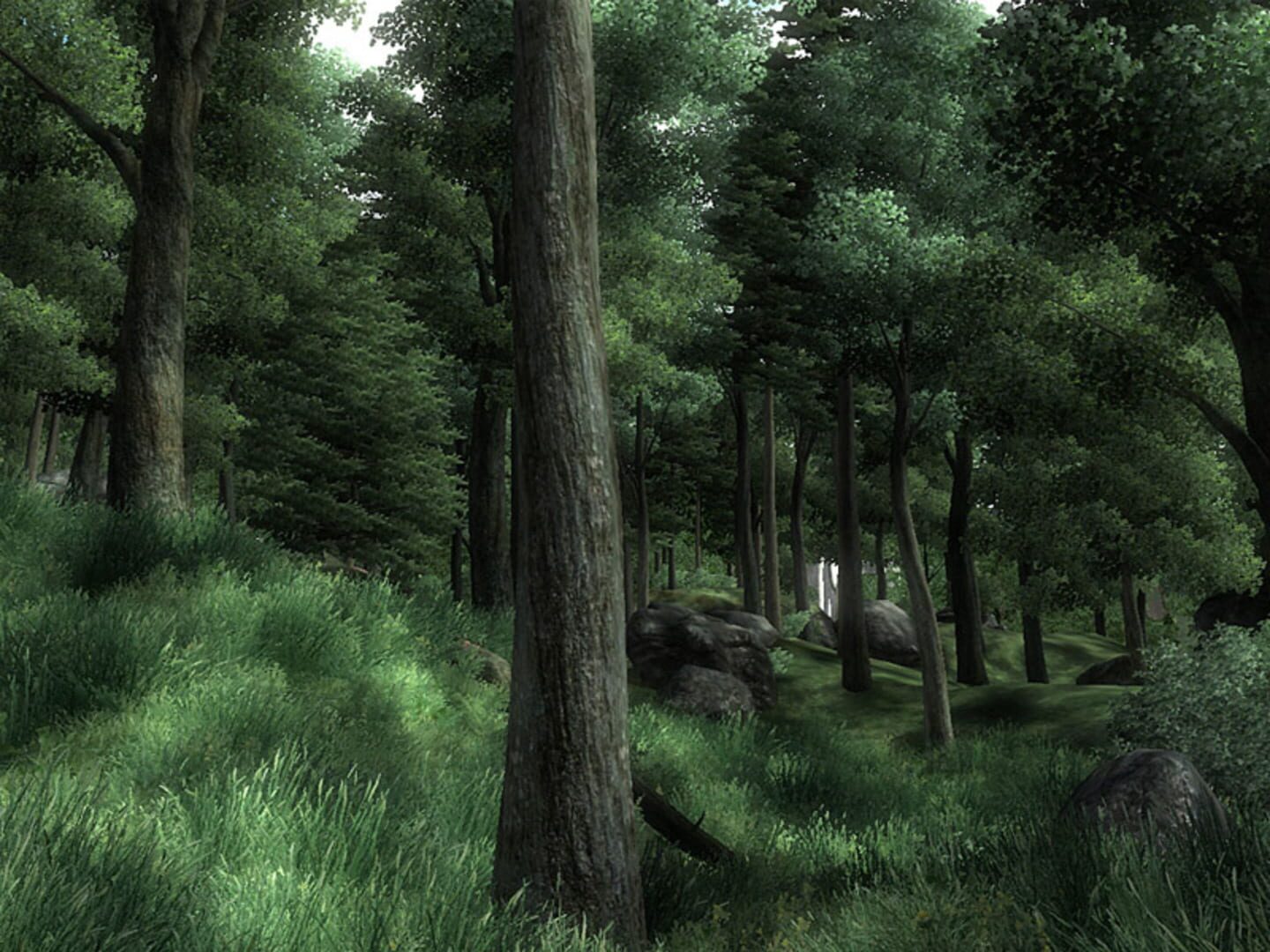 Screenshot for The Elder Scrolls IV: Oblivion