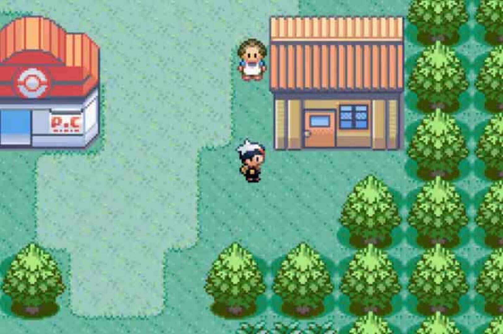 Screenshot for Pokémon Ruby Version