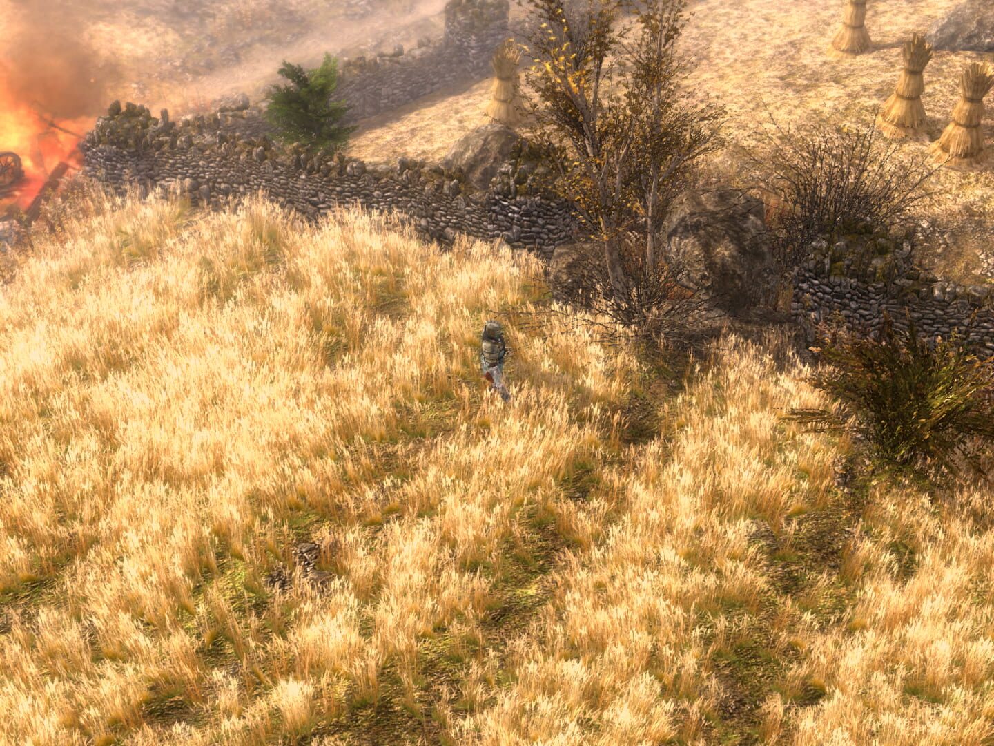 Screenshot for Grim Dawn