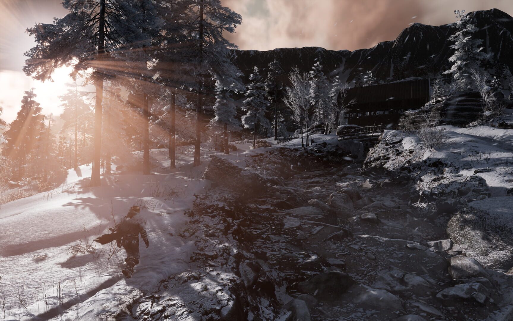 Screenshot for Fade to Silence