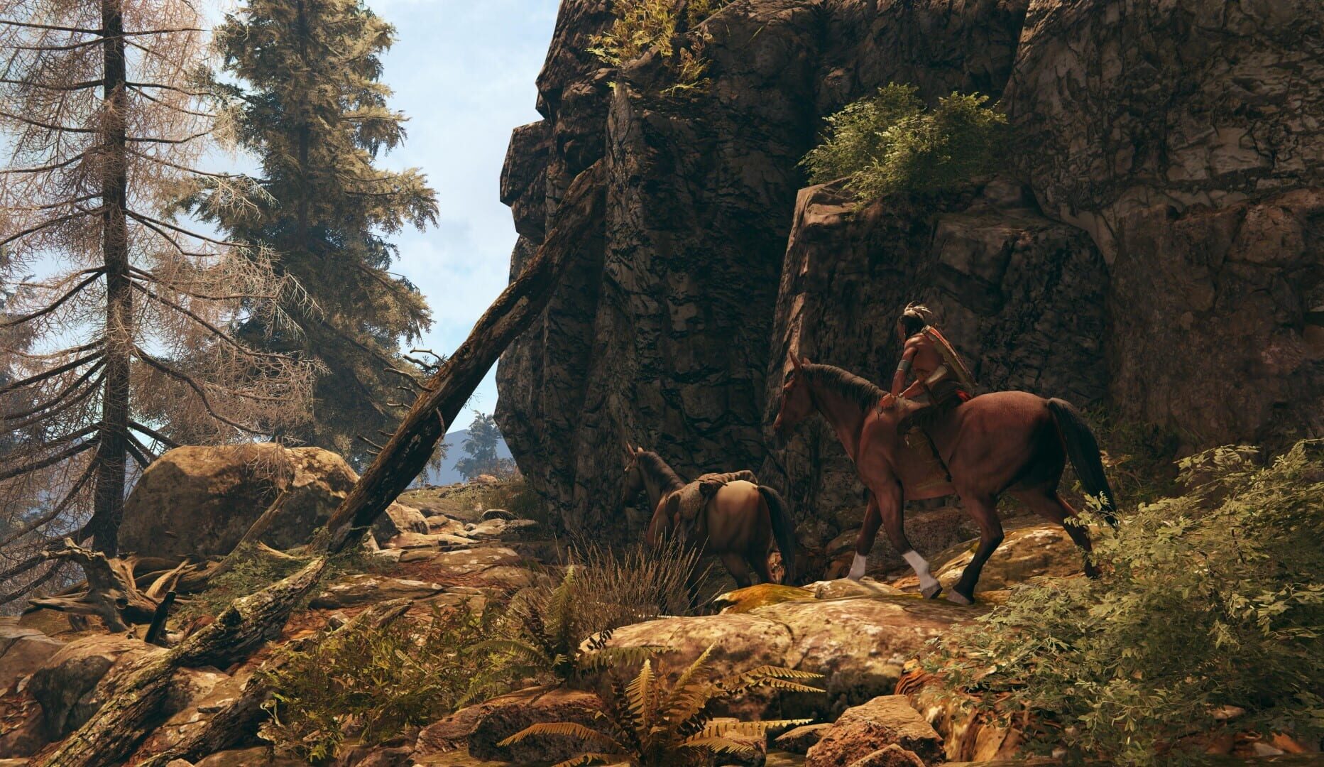 Screenshot for This Land Is My Land