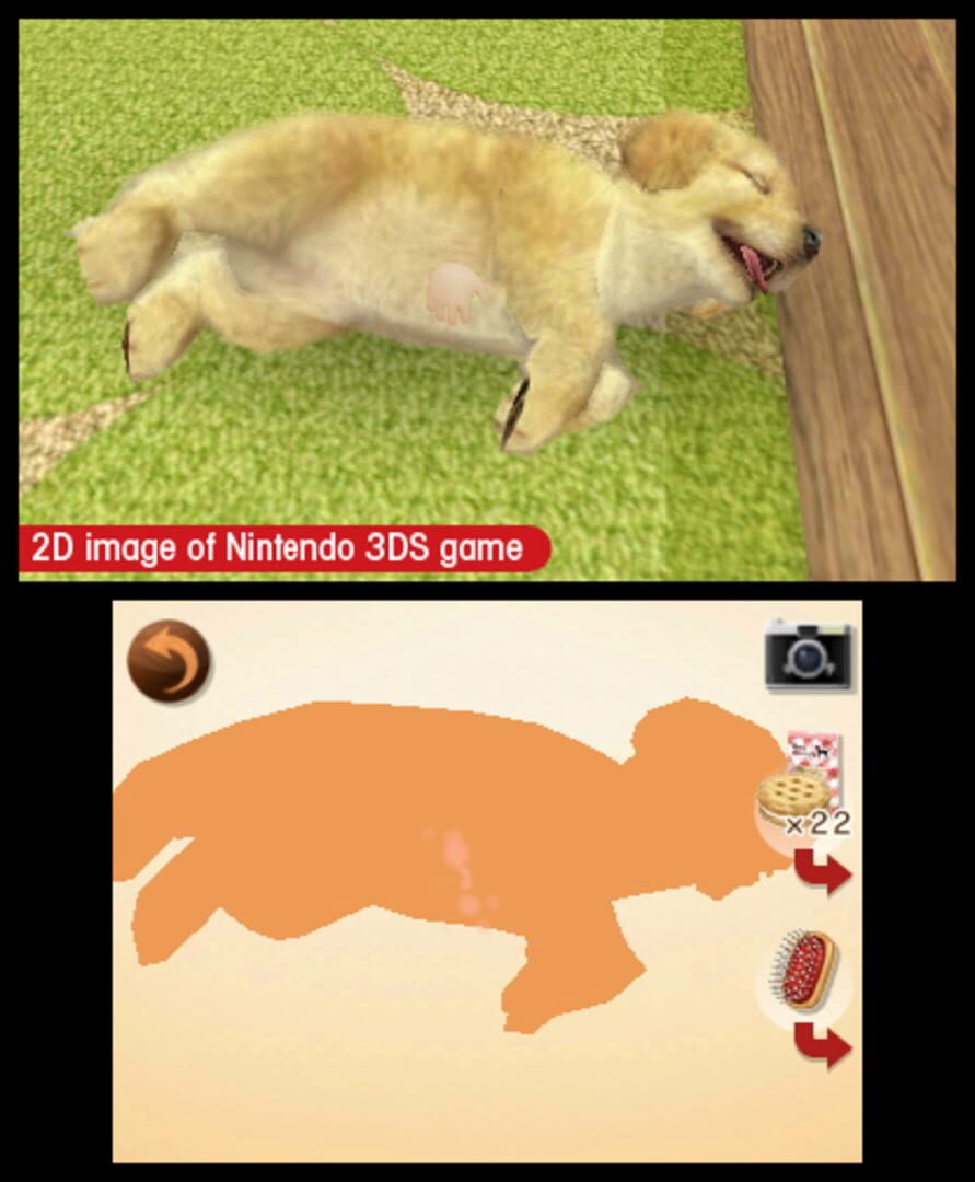 Screenshot for Nintendogs + Cats: French Bulldog & New Friends