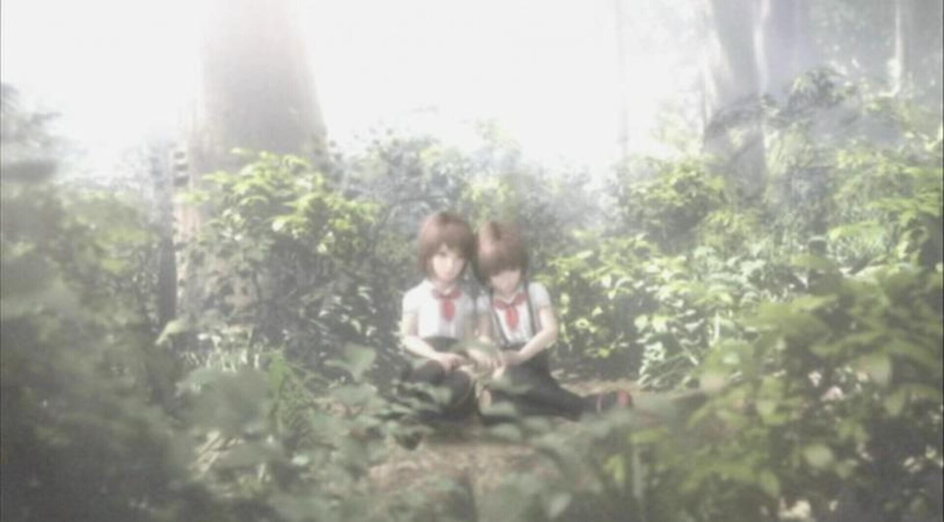 Screenshot for Project Zero 2: Wii Edition