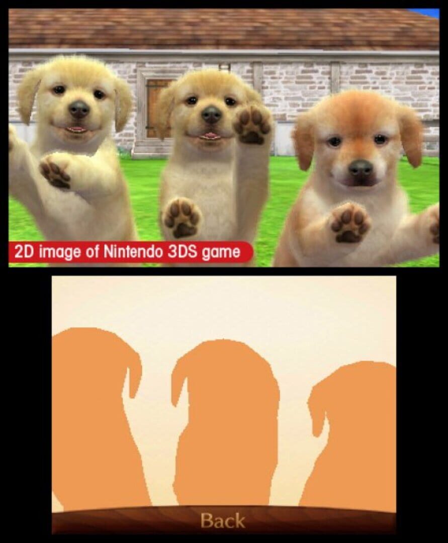 Screenshot for Nintendogs + Cats: Golden Retriever & New Friends