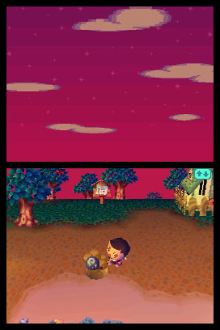 Screenshot for Animal Crossing: Wild World