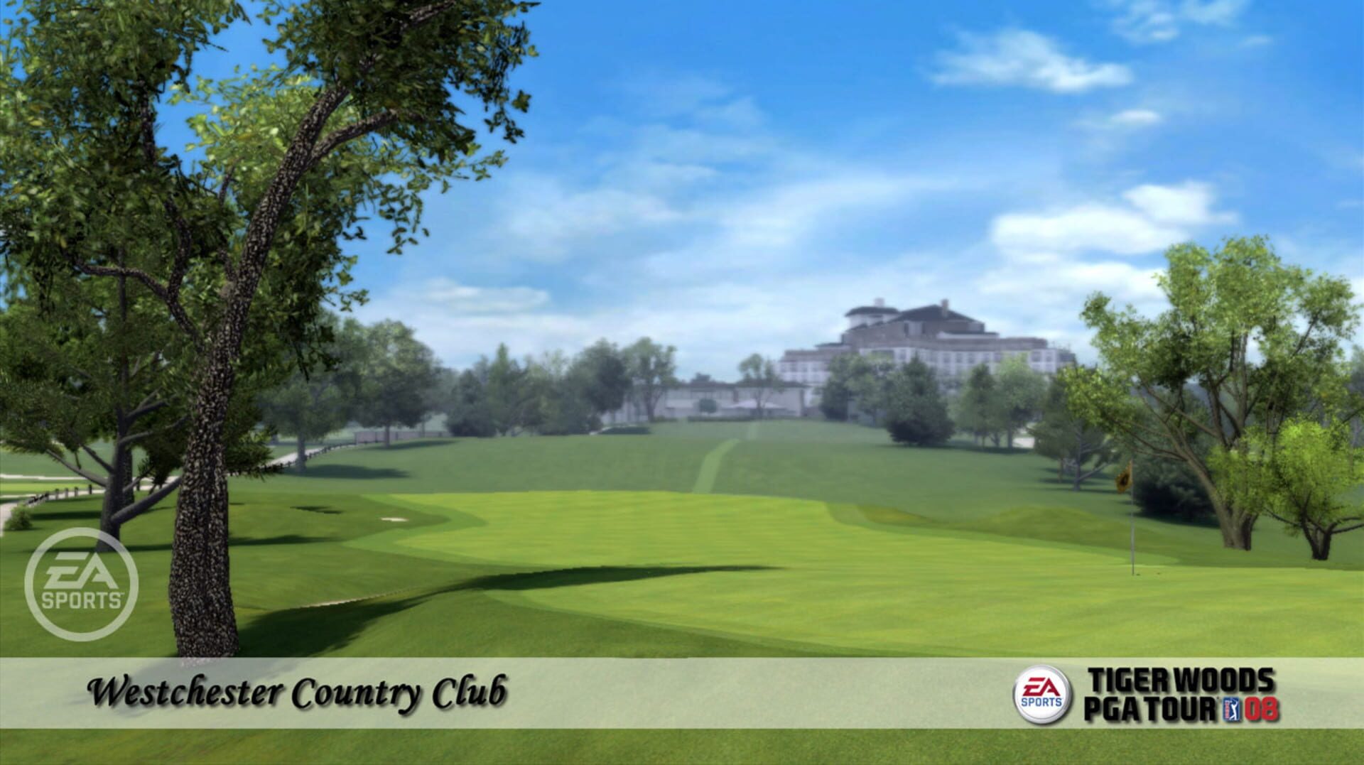 Screenshot for Tiger Woods PGA Tour 08