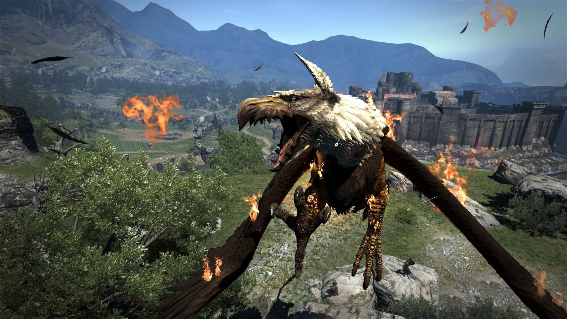 Screenshot for Dragon's Dogma