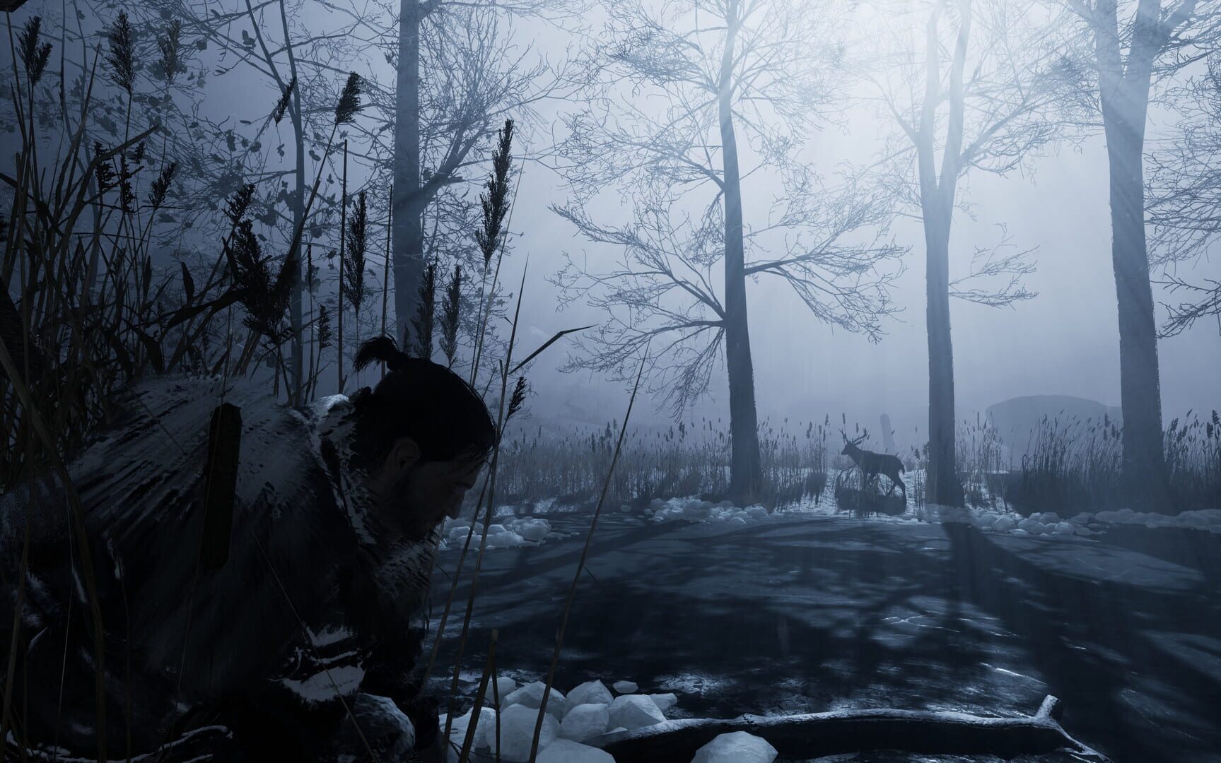 Screenshot for Fade to Silence