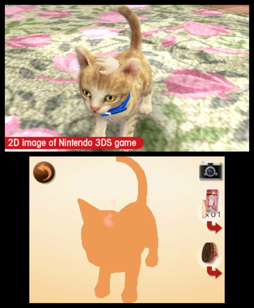 Screenshot for Nintendogs + Cats: French Bulldog & New Friends