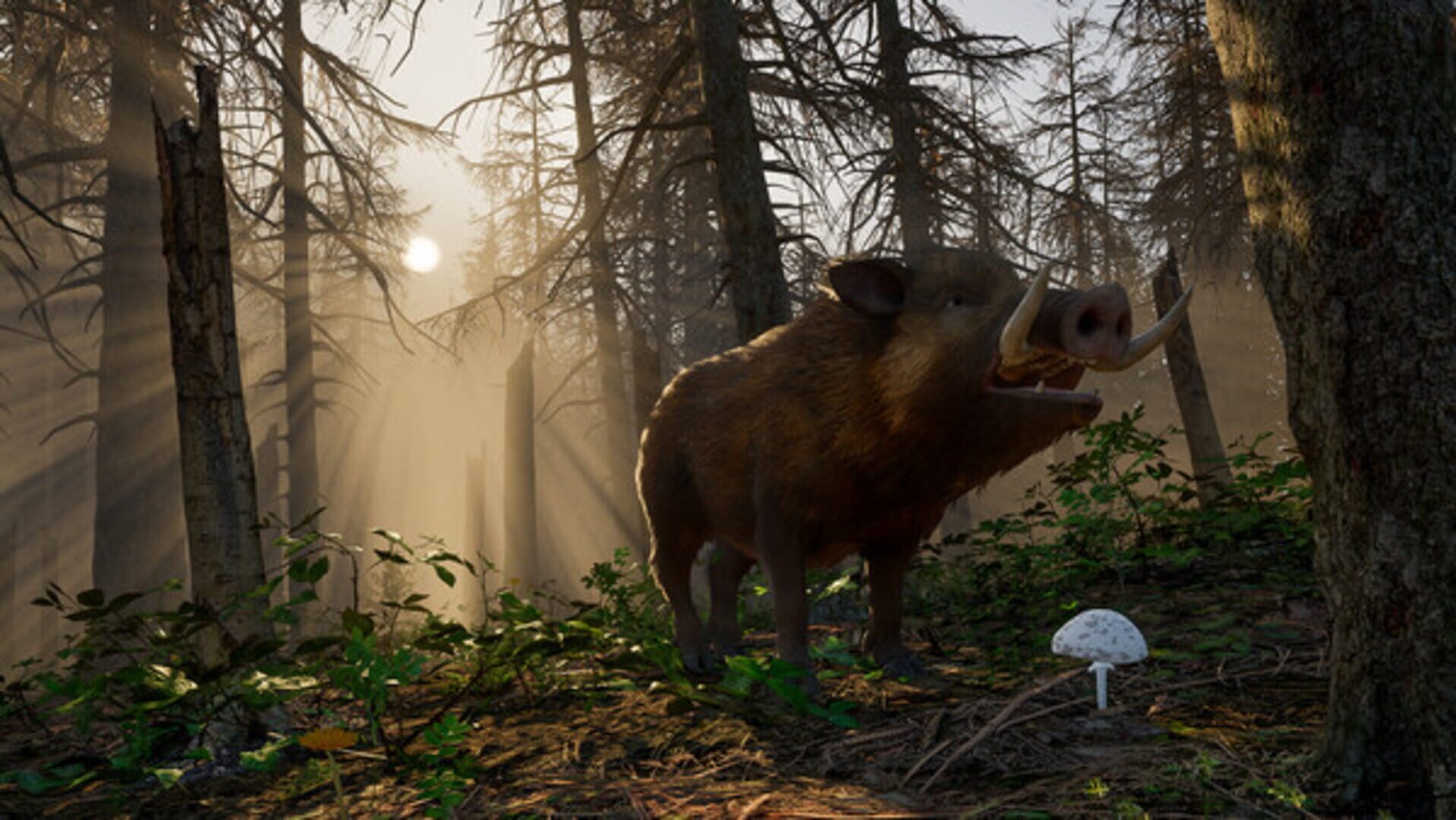 Screenshot for Wild Terrain