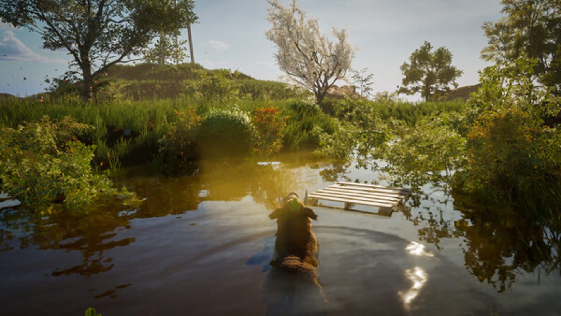 Screenshot for Wild Terrain
