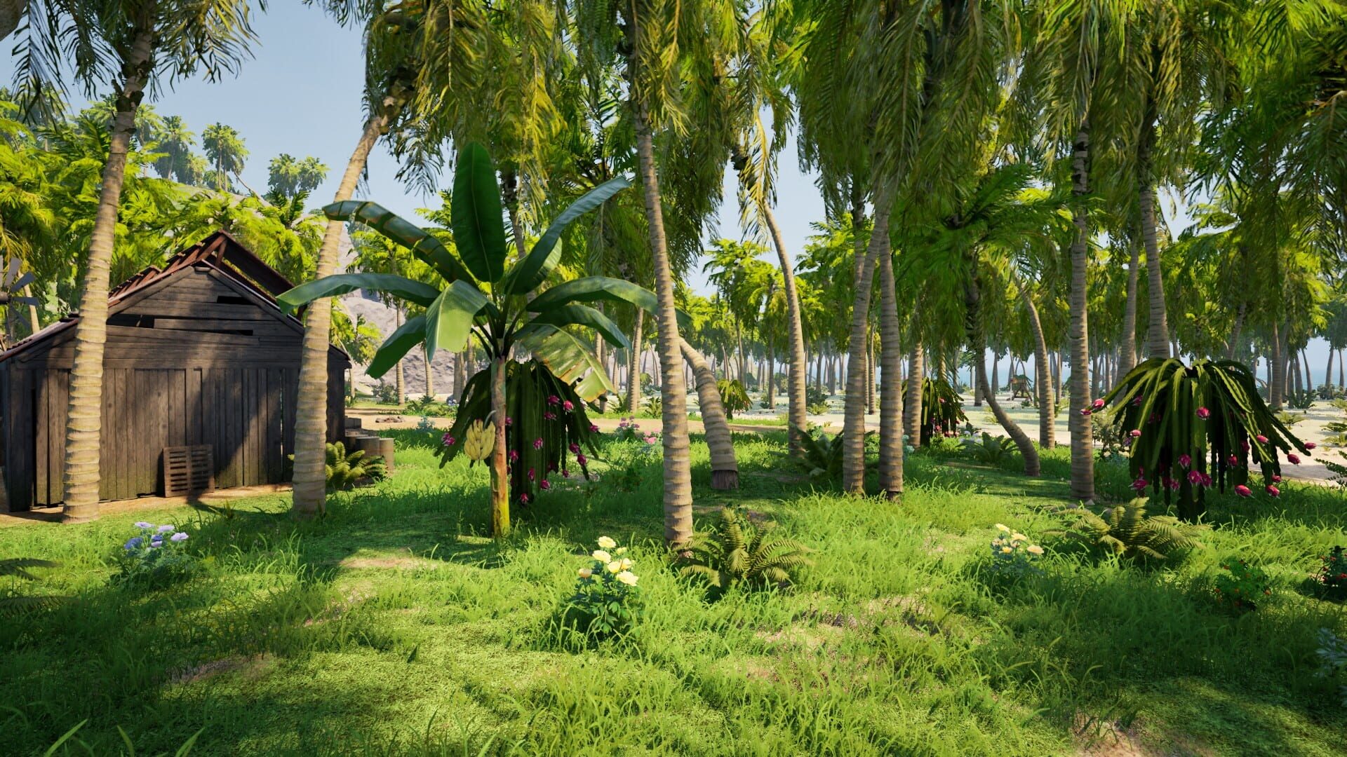 Screenshot for Dig Island