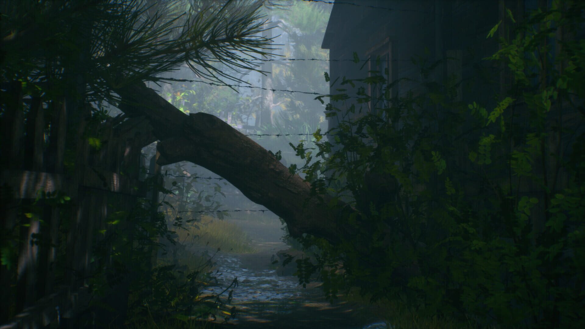 Screenshot for Tangles 2