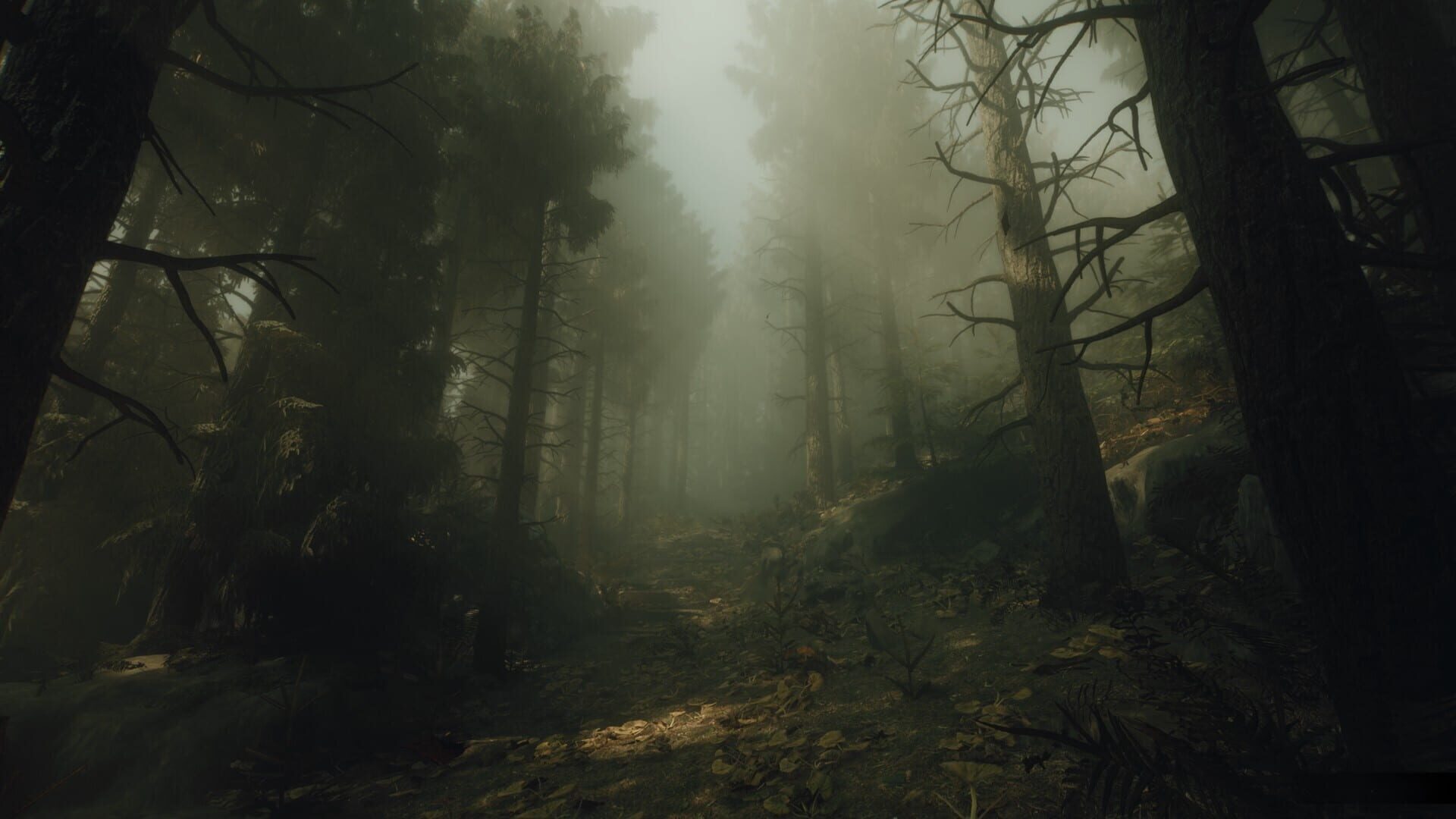 Screenshot for The Occultist