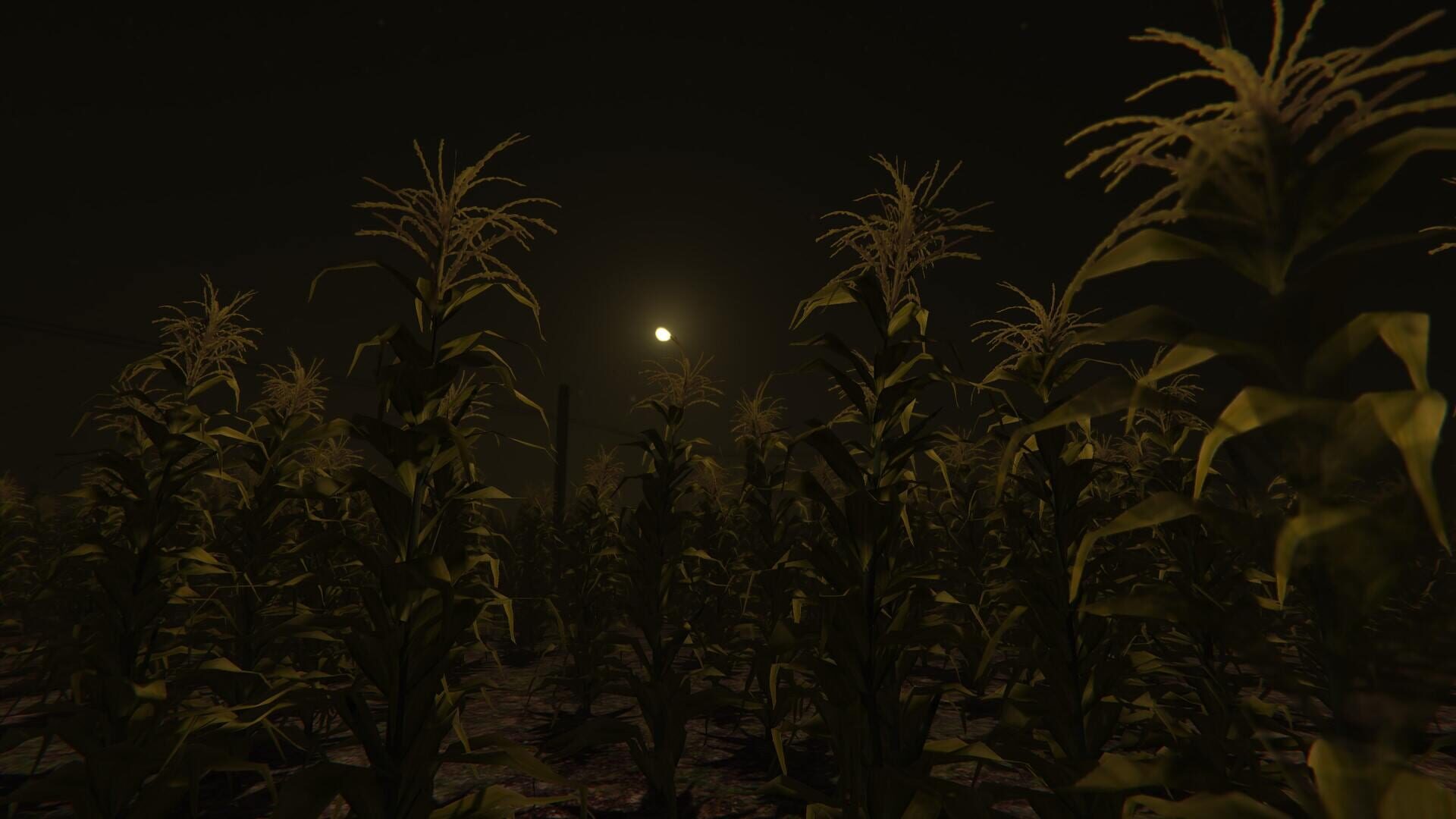 Screenshot for Cornfield
