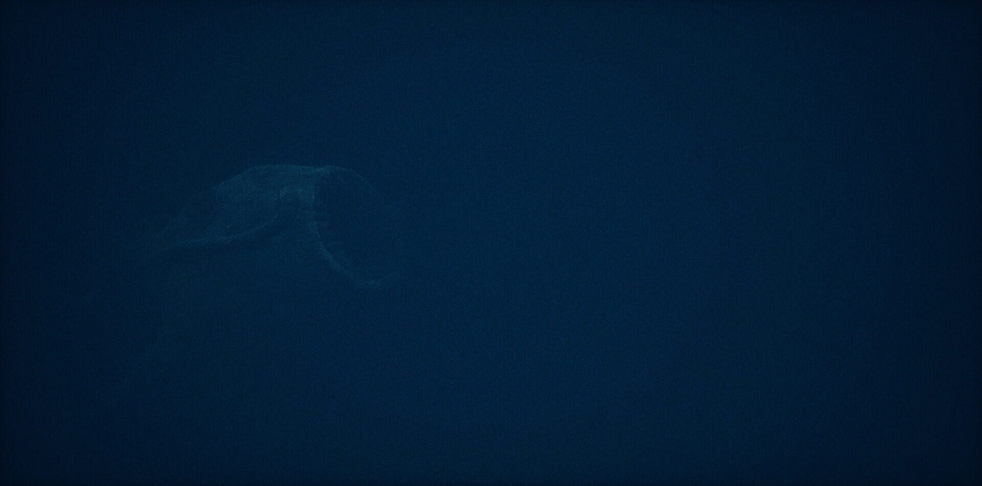 Screenshot for SCP: Darkwater