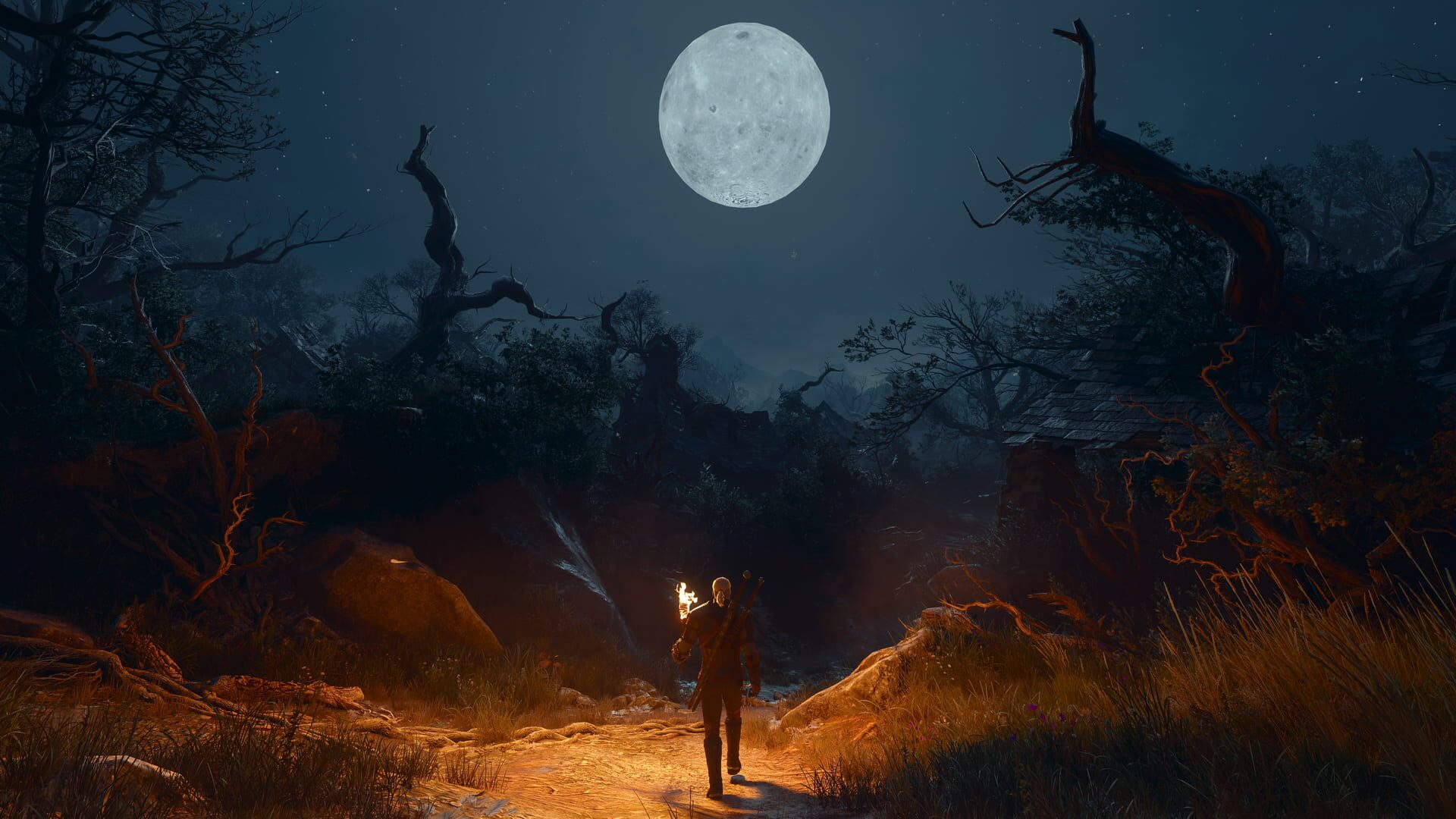 Screenshot for The Witcher 3: Wild Hunt - Songs of the Past