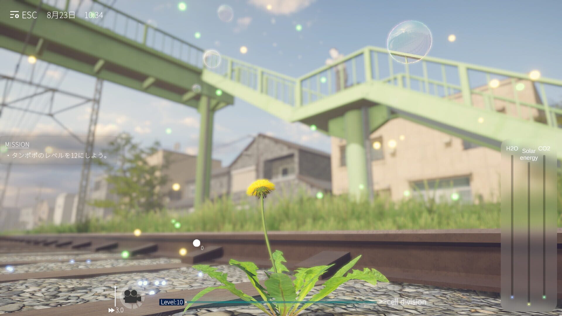 Screenshot for The Dandelion Endures.