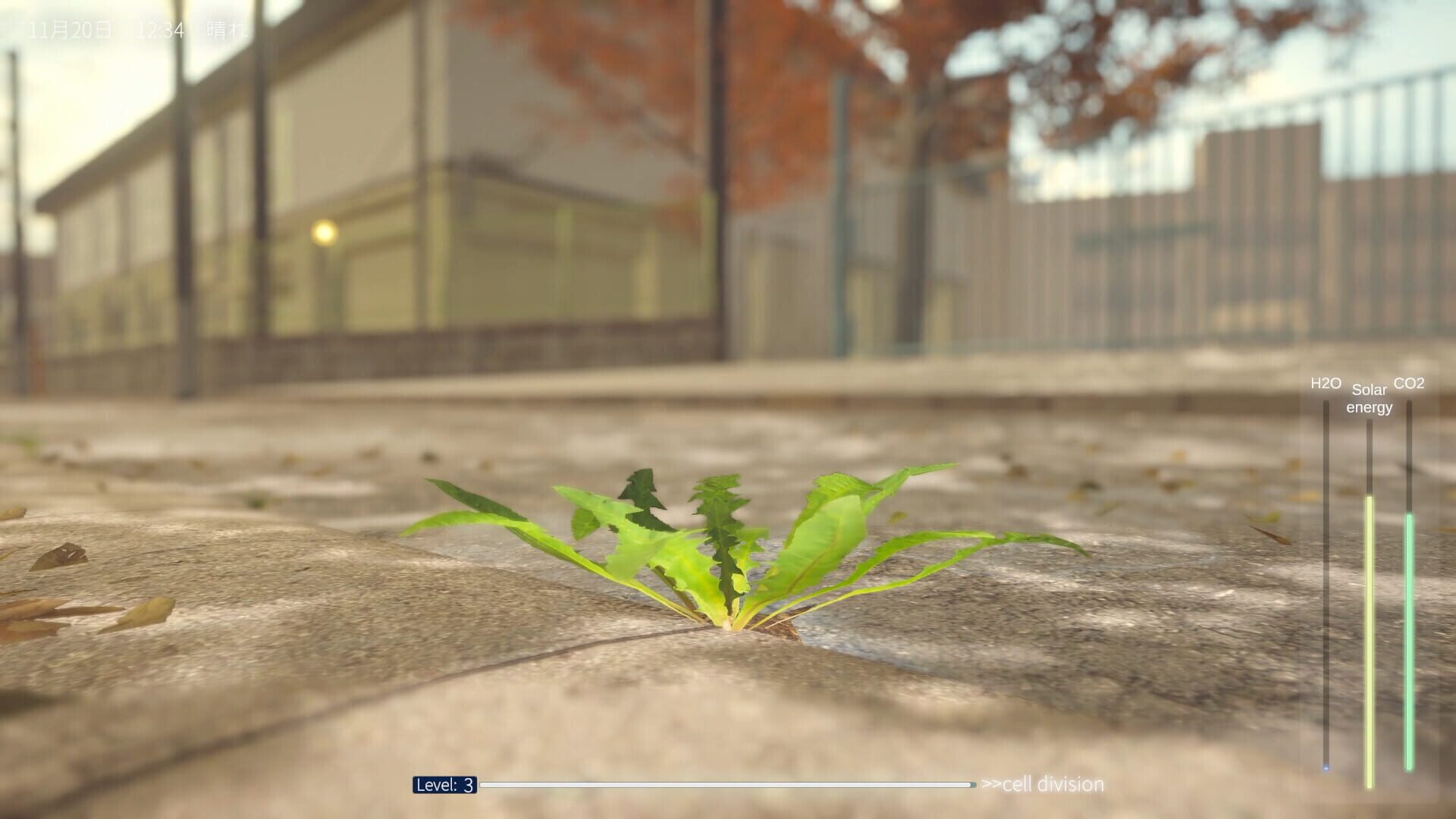 Screenshot for The Dandelion Endures.