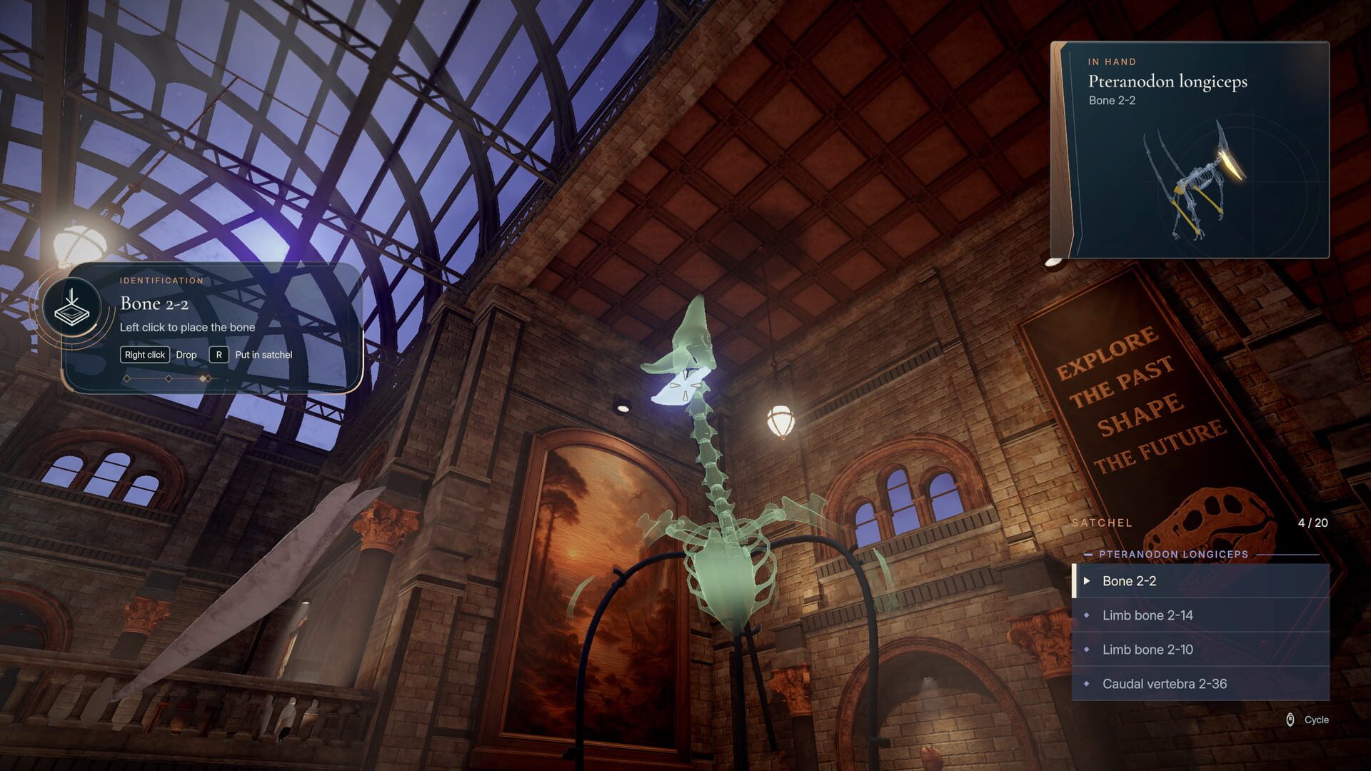Screenshot for DinoBones: Tidy Up the Museum