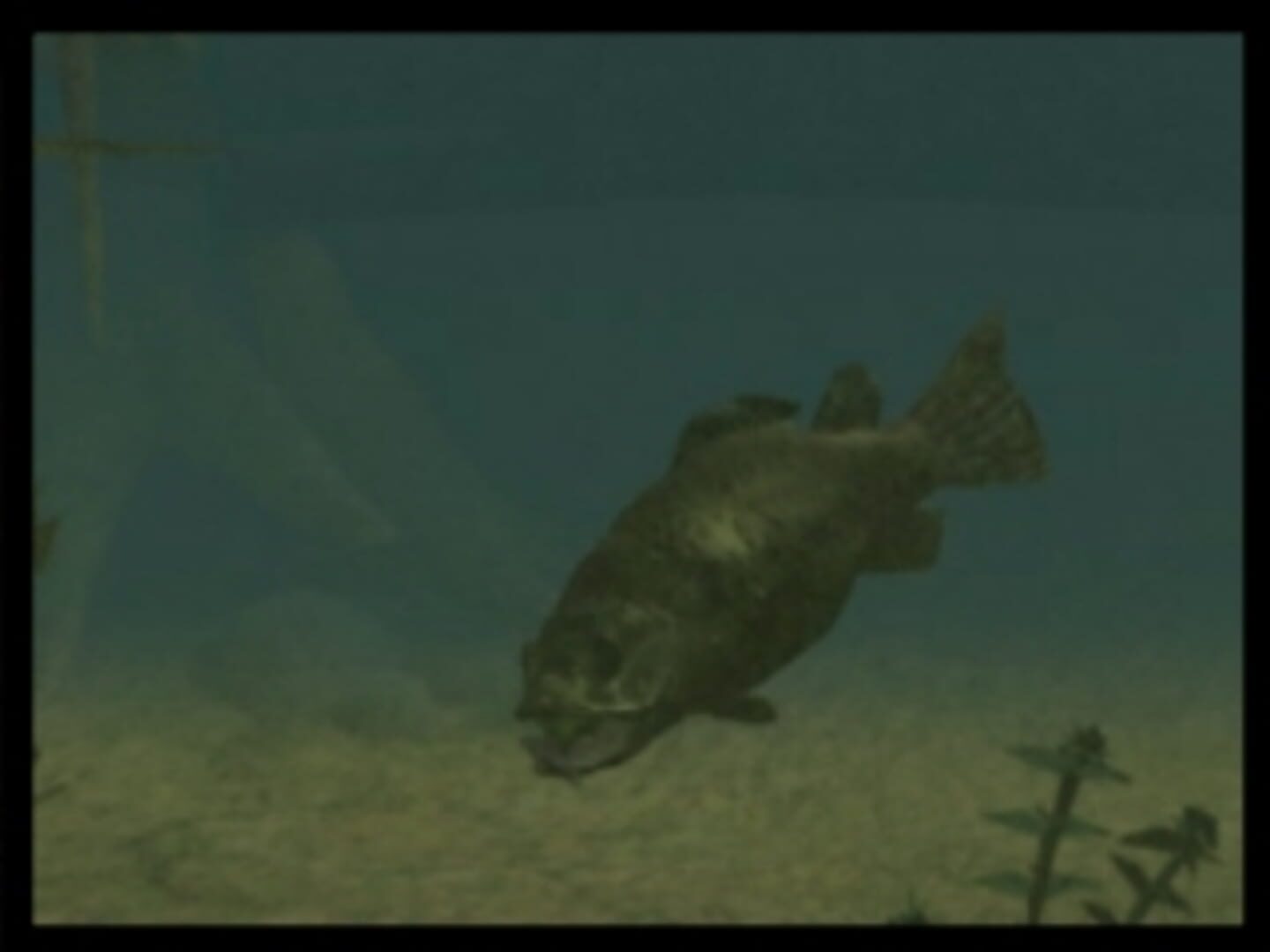 Screenshot for Super Black Bass X2