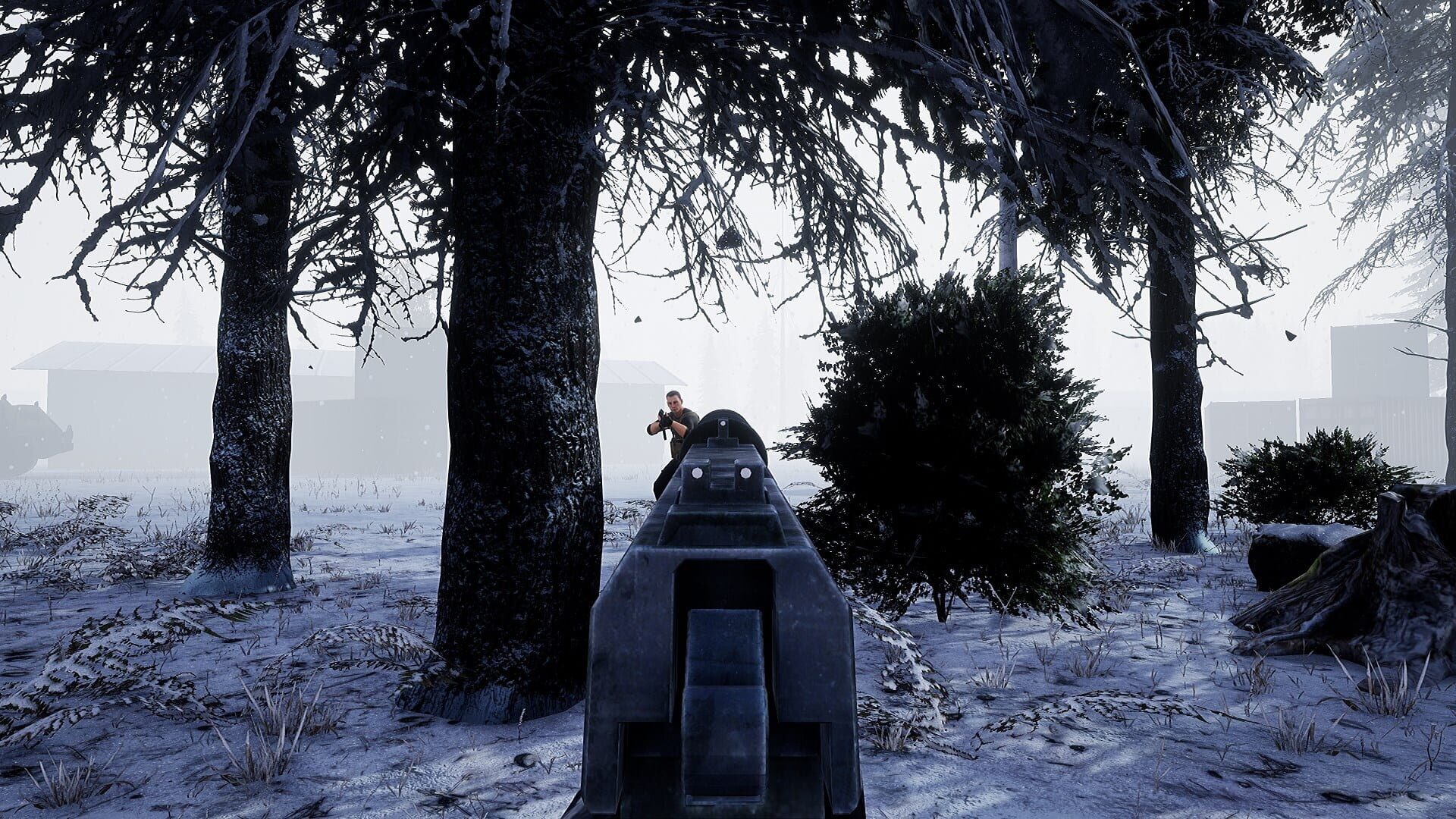 Screenshot for Beyond Enemy Lines: Operation Arctic Hawk