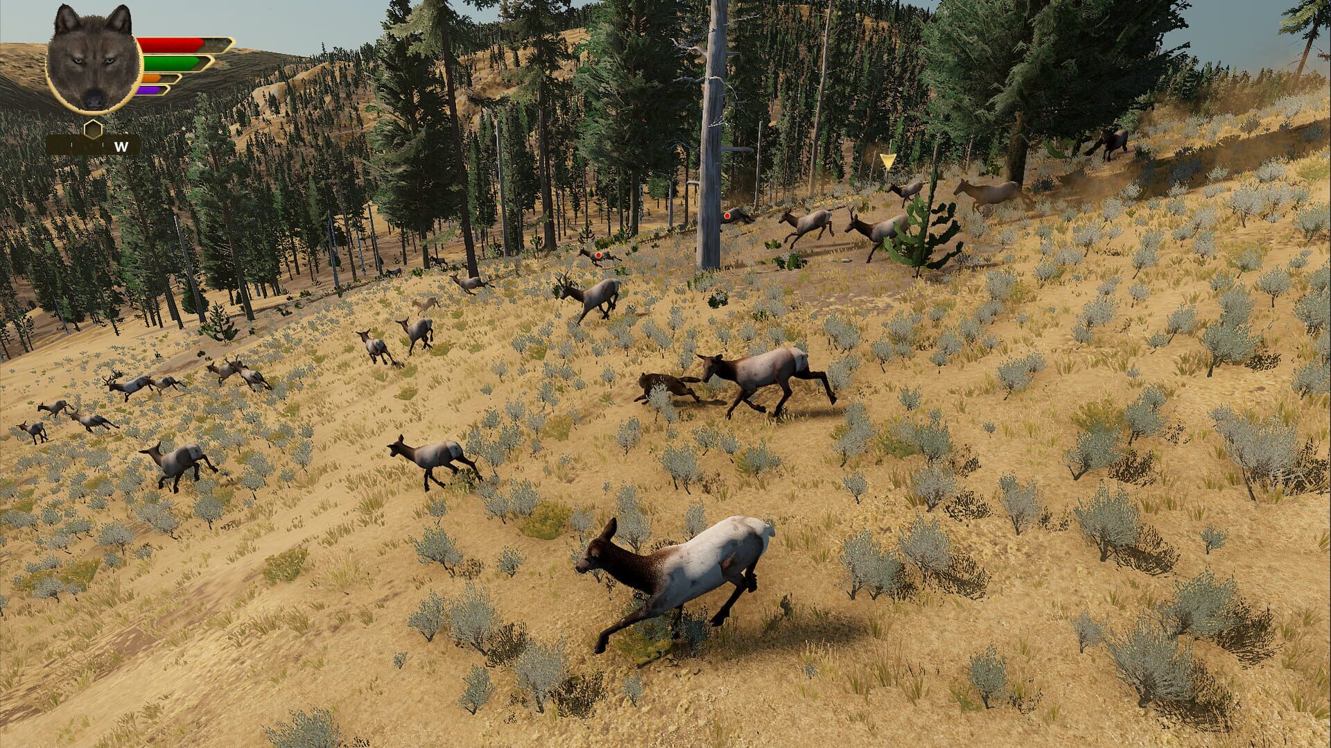 Screenshot for WolfQuest: Anniversary Edition