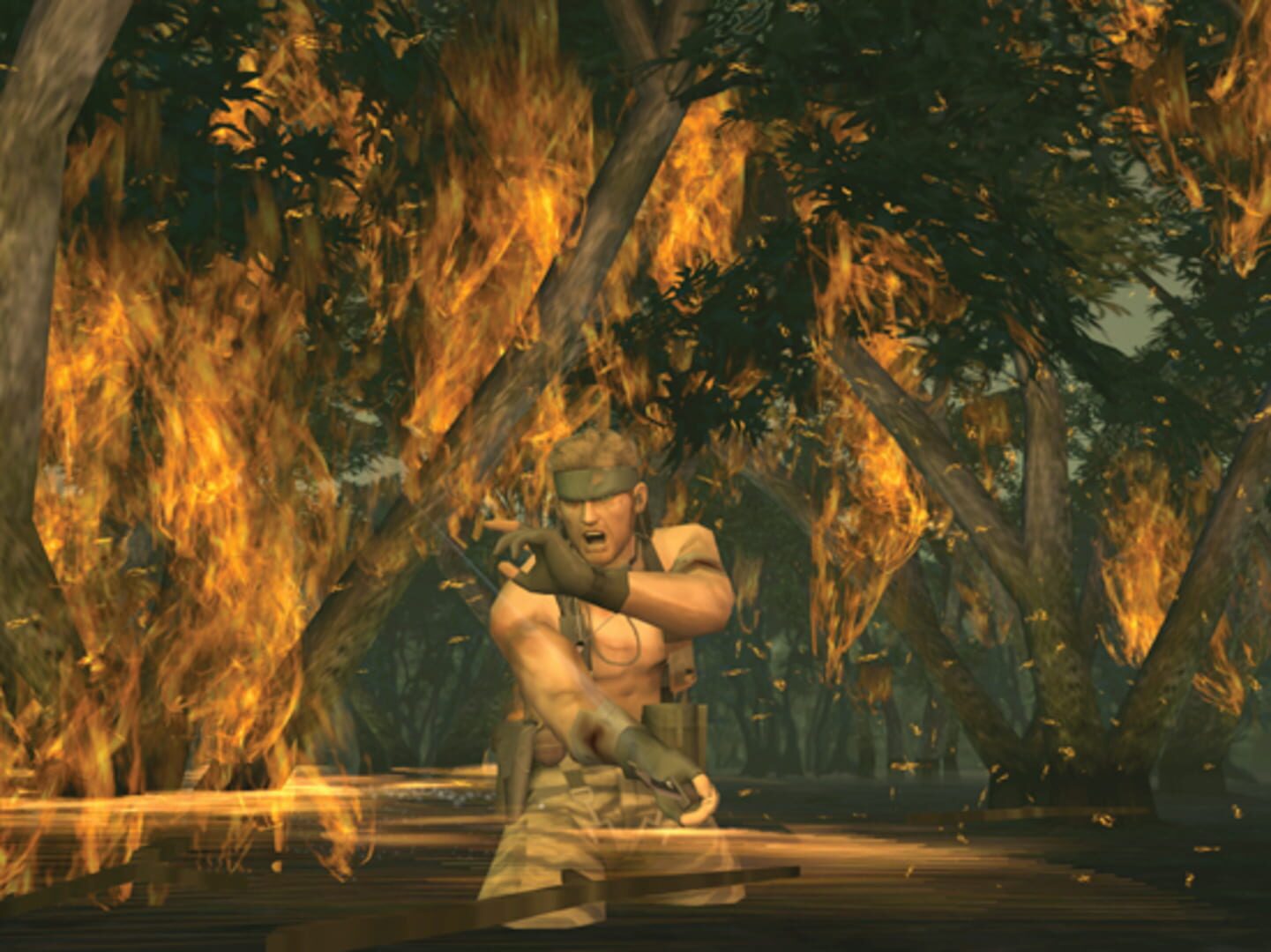 Screenshot for Metal Gear Solid 3: Snake Eater