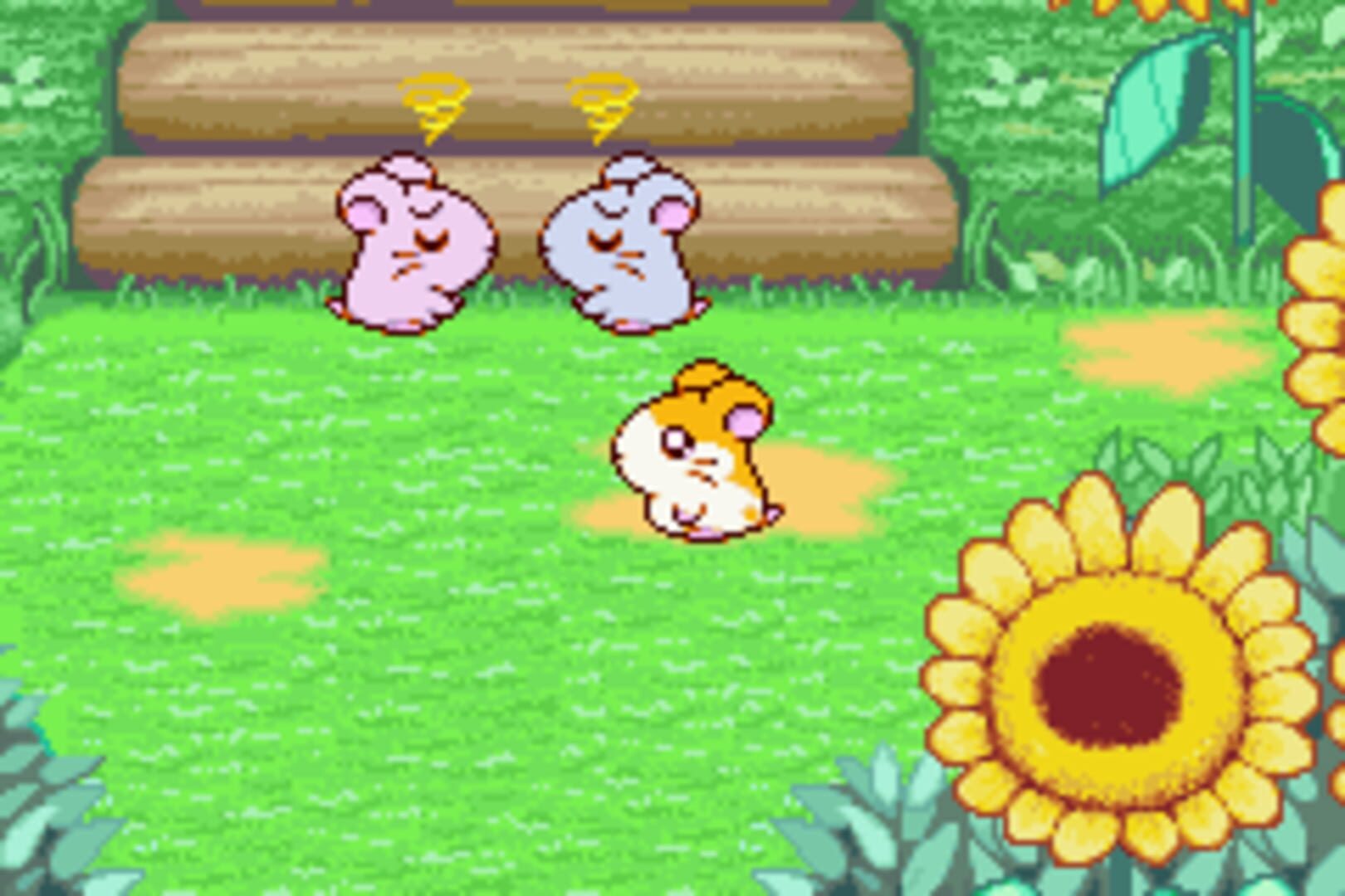Screenshot for Hamtaro: Ham-Ham Heartbreak