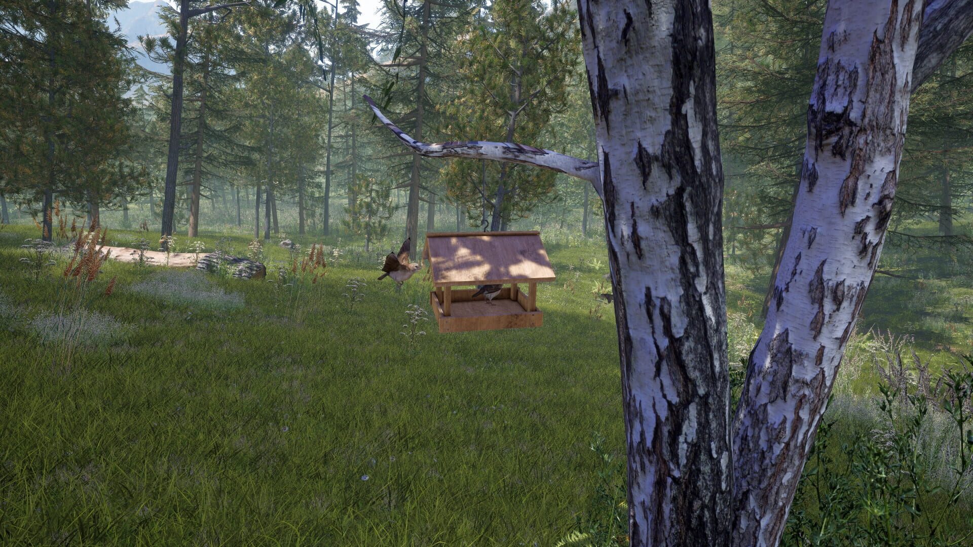 Screenshot for Forest Ranger Simulator