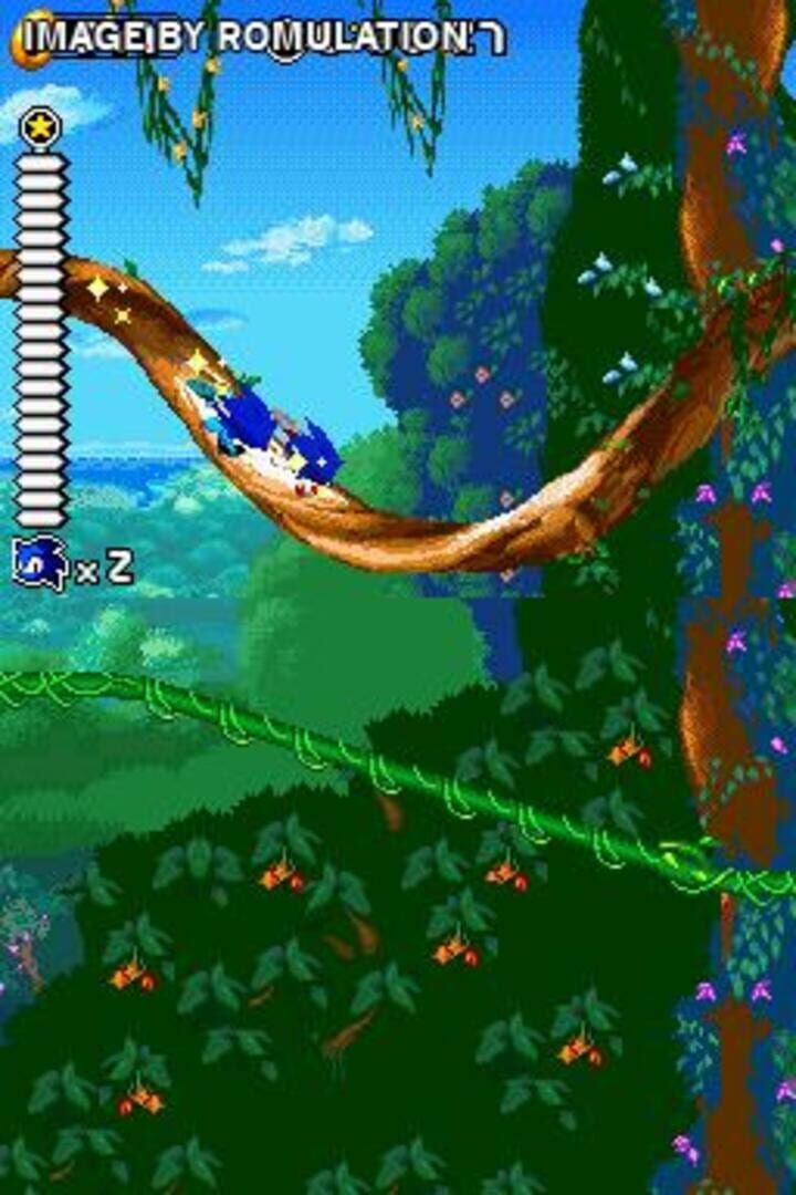 Screenshot for Sonic Rush