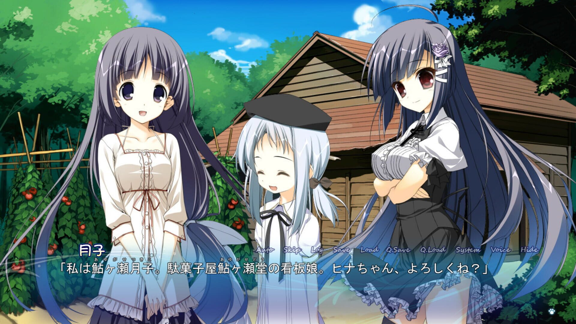 Screenshot for Himawari no Kyoukai to Nagai Natsuyasumi