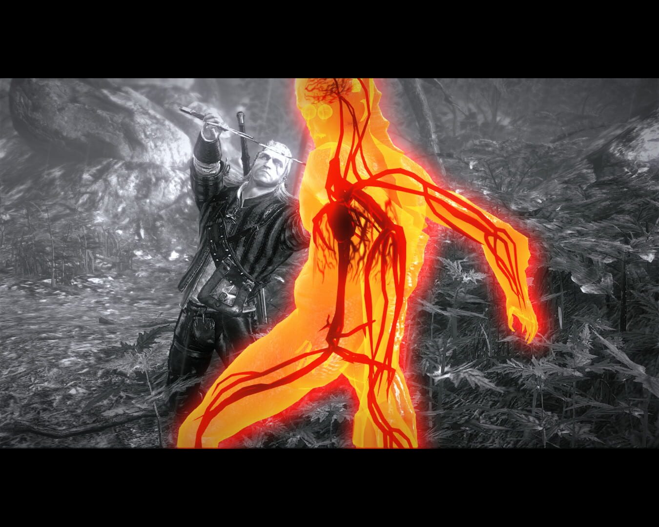 Screenshot for The Witcher 2: Assassins of Kings