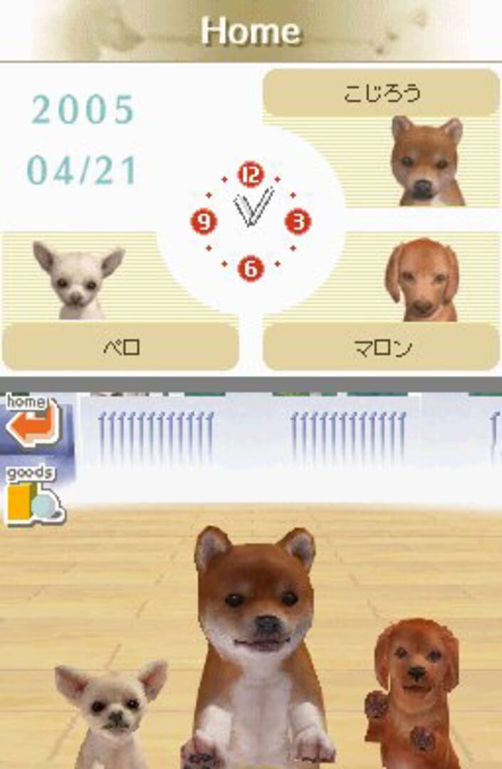 Screenshot for Nintendogs: Dachshund & Friends