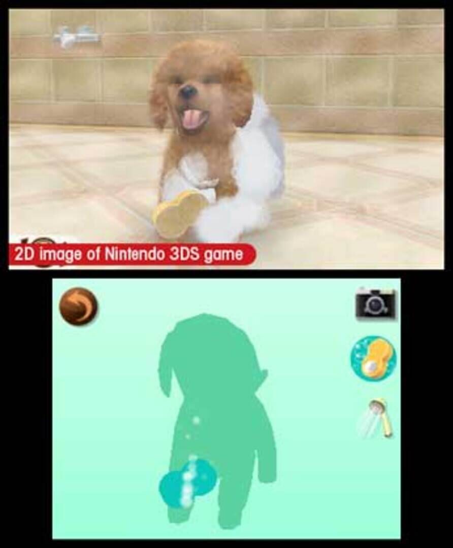 Screenshot for Nintendogs + Cats: Toy Poodle & New Friends