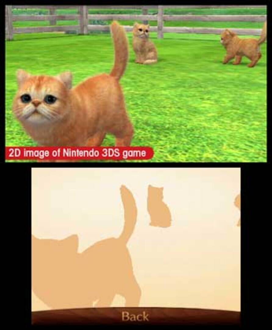 Screenshot for Nintendogs + Cats: Toy Poodle & New Friends