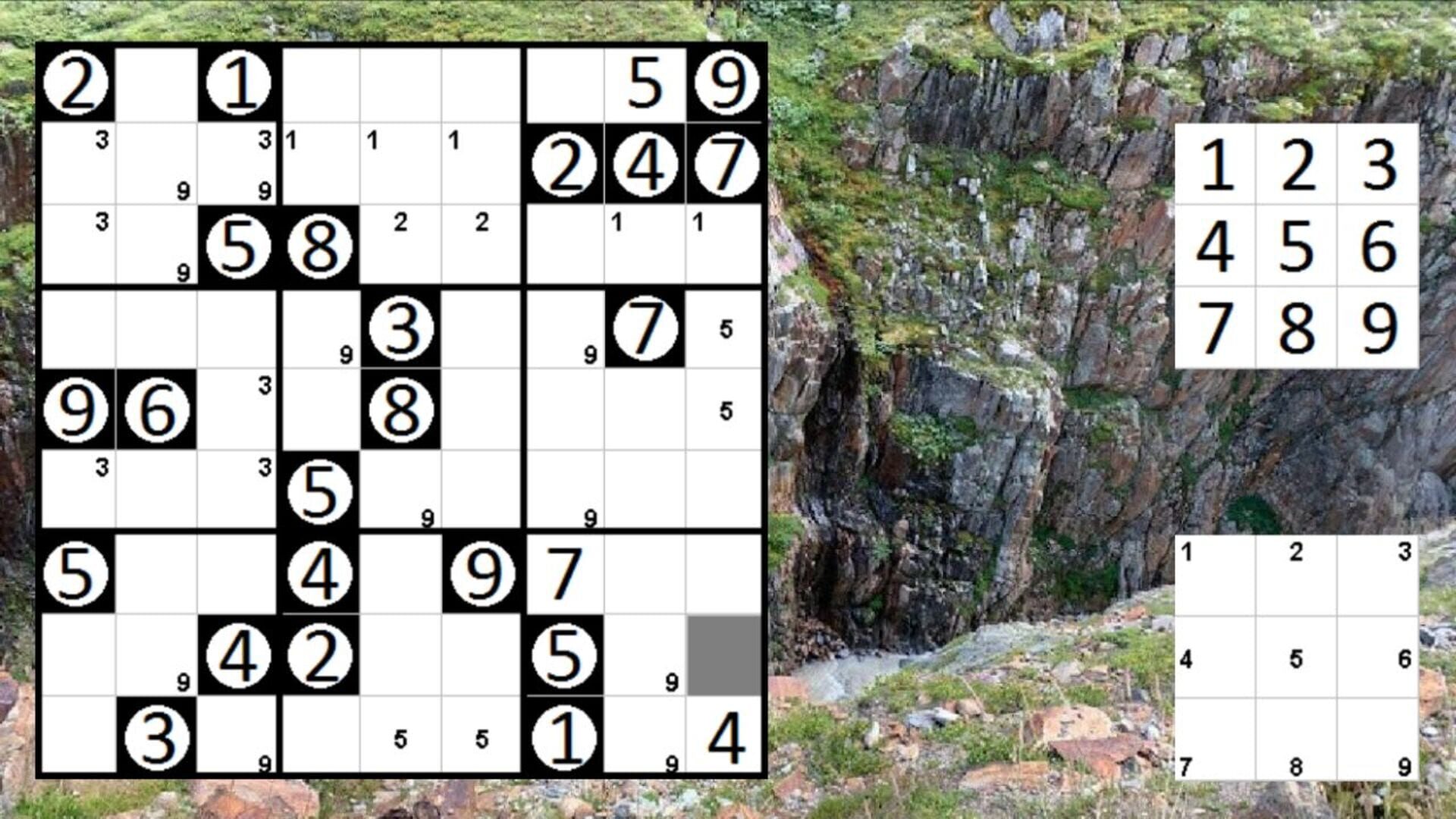 Screenshot for Logic Puzzle Collection: Sudoku, Permudoku, Nonodoku