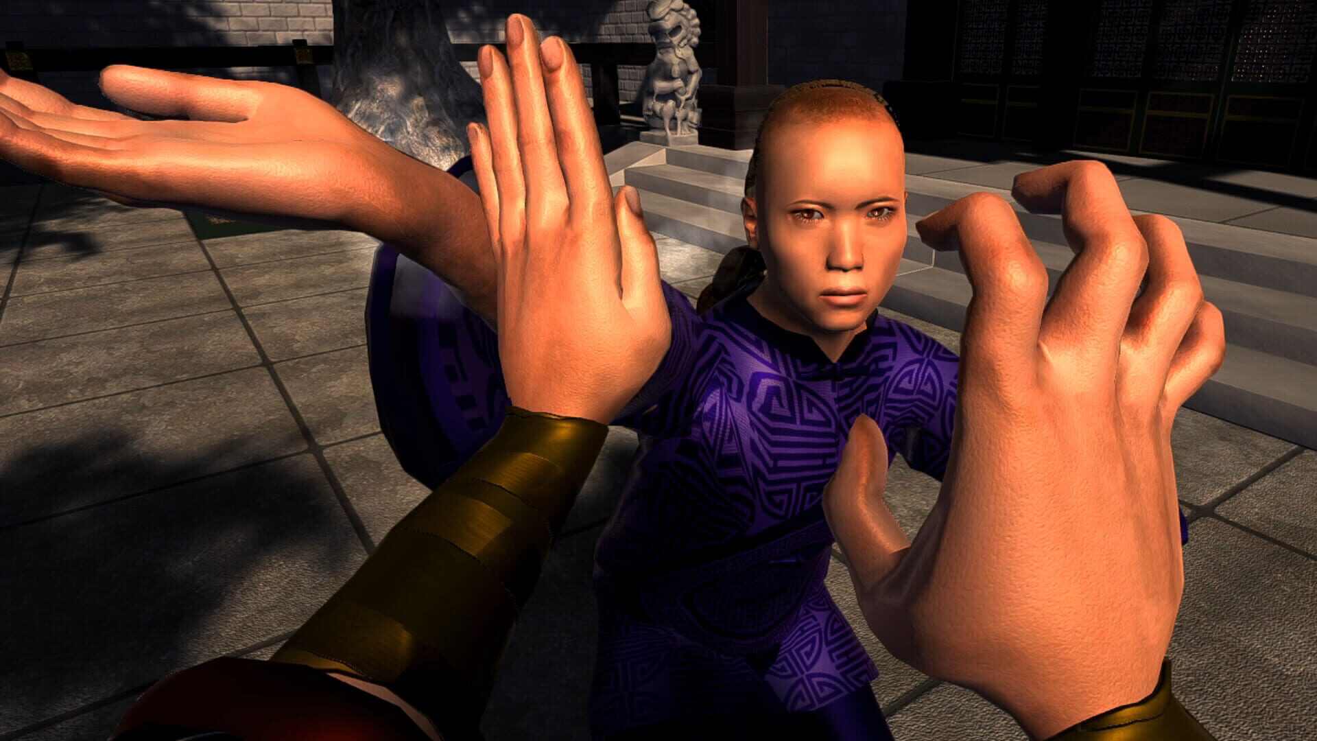Screenshot for Dragon Fist: VR Kung Fu