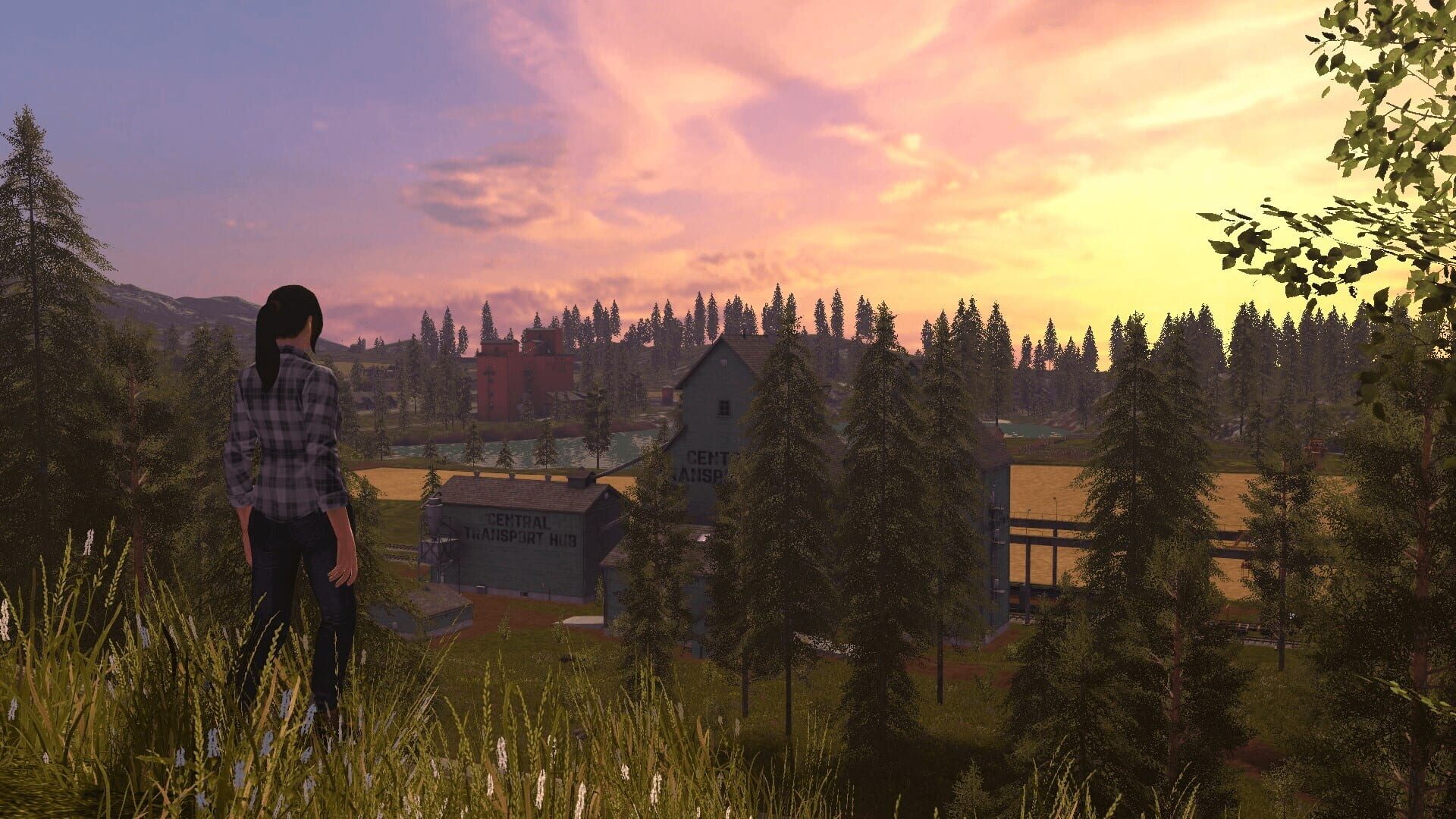 Screenshot for Farming Simulator 17
