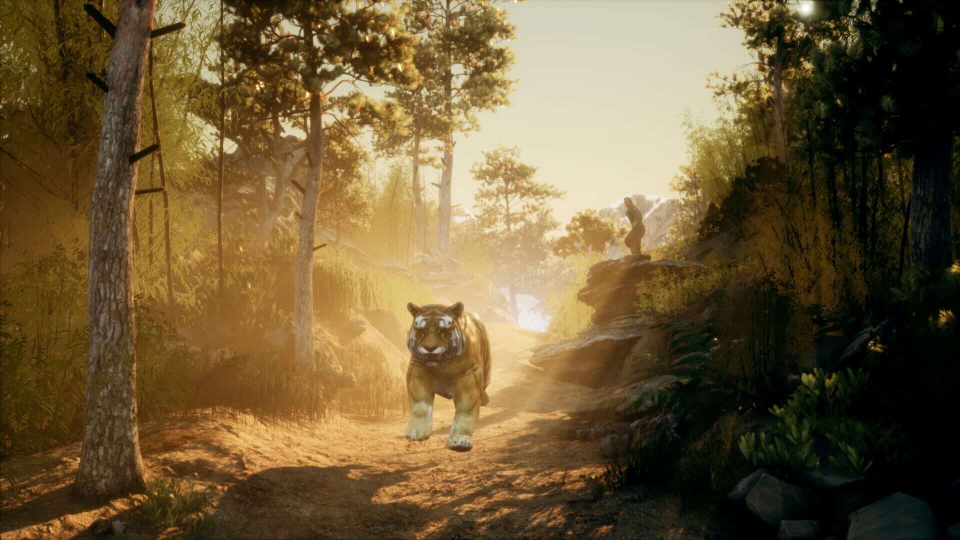 Screenshot for Chinese Frontiers