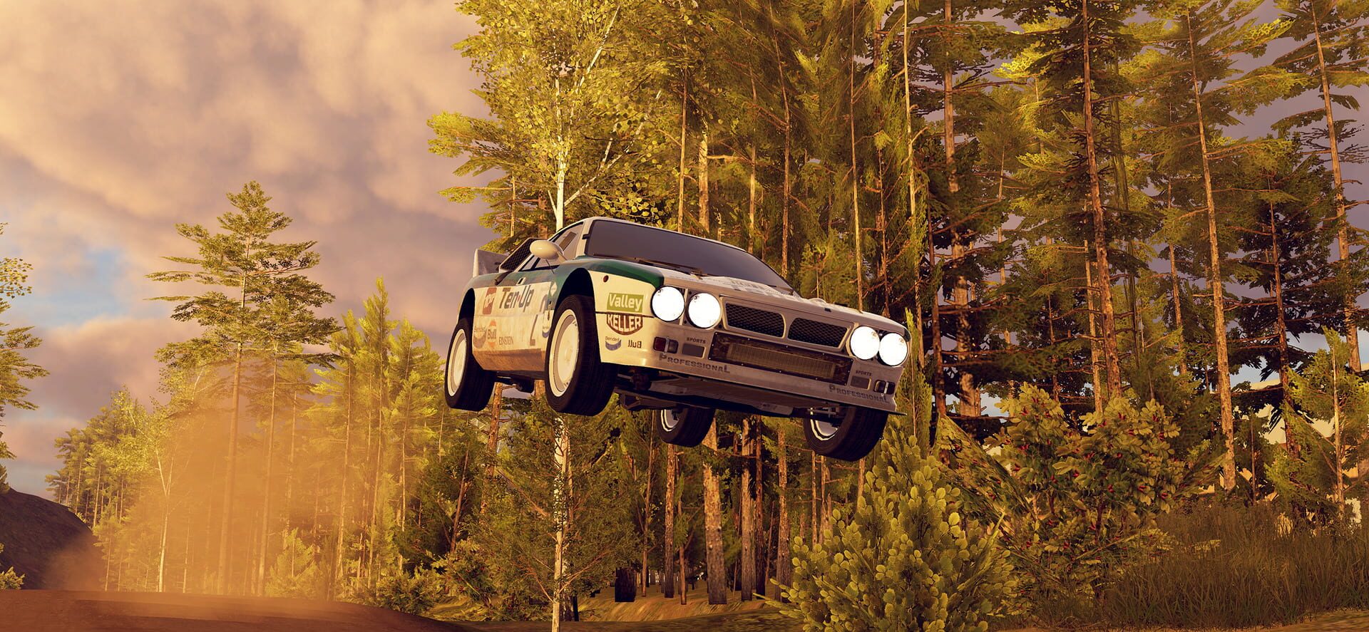 Screenshot for CarX Rally