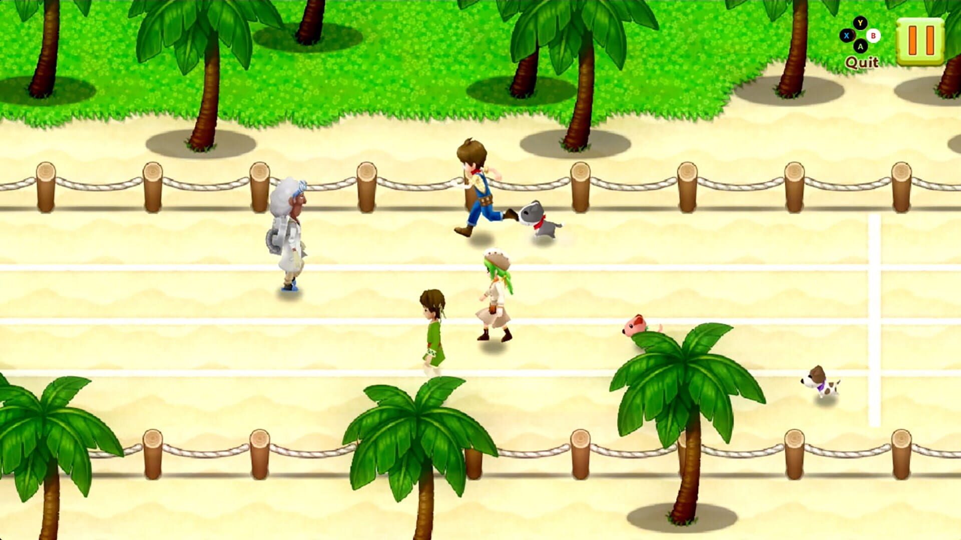 Screenshot for Harvest Moon: Light of Hope