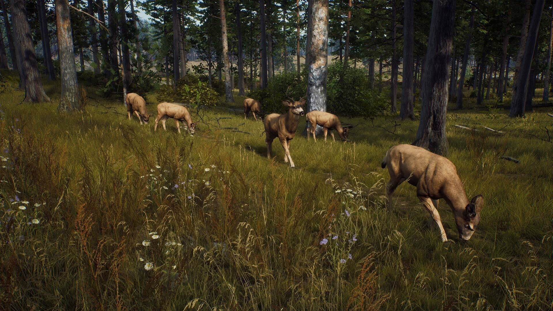 Screenshot for Way of the Hunter