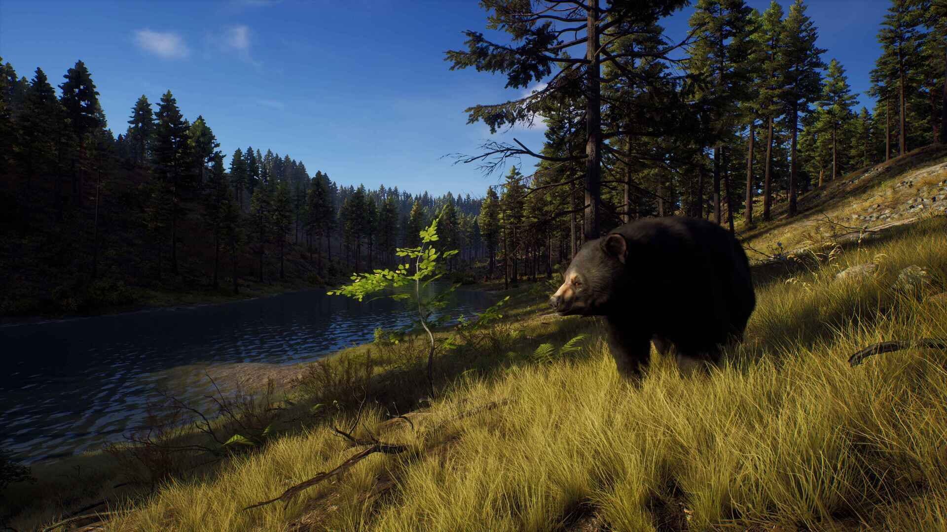 Screenshot for Way of the Hunter