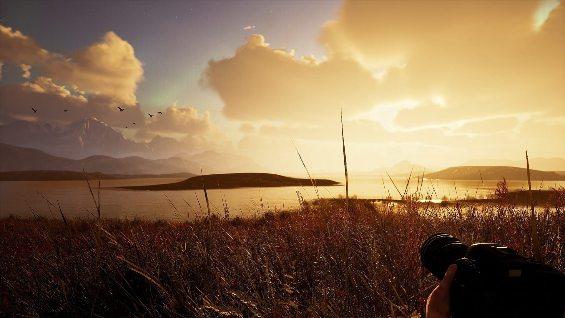 Screenshot for Photography Simulator