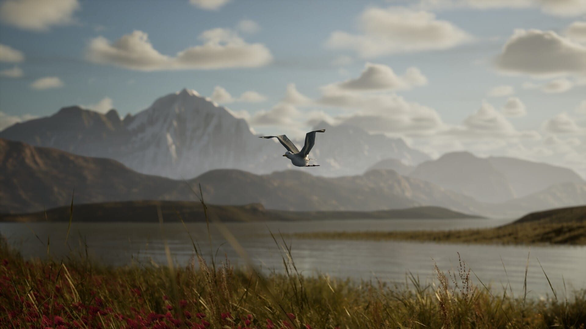 Screenshot for Photography Simulator