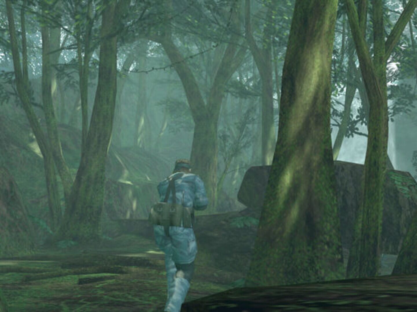 Screenshot for Metal Gear Solid 3: Snake Eater