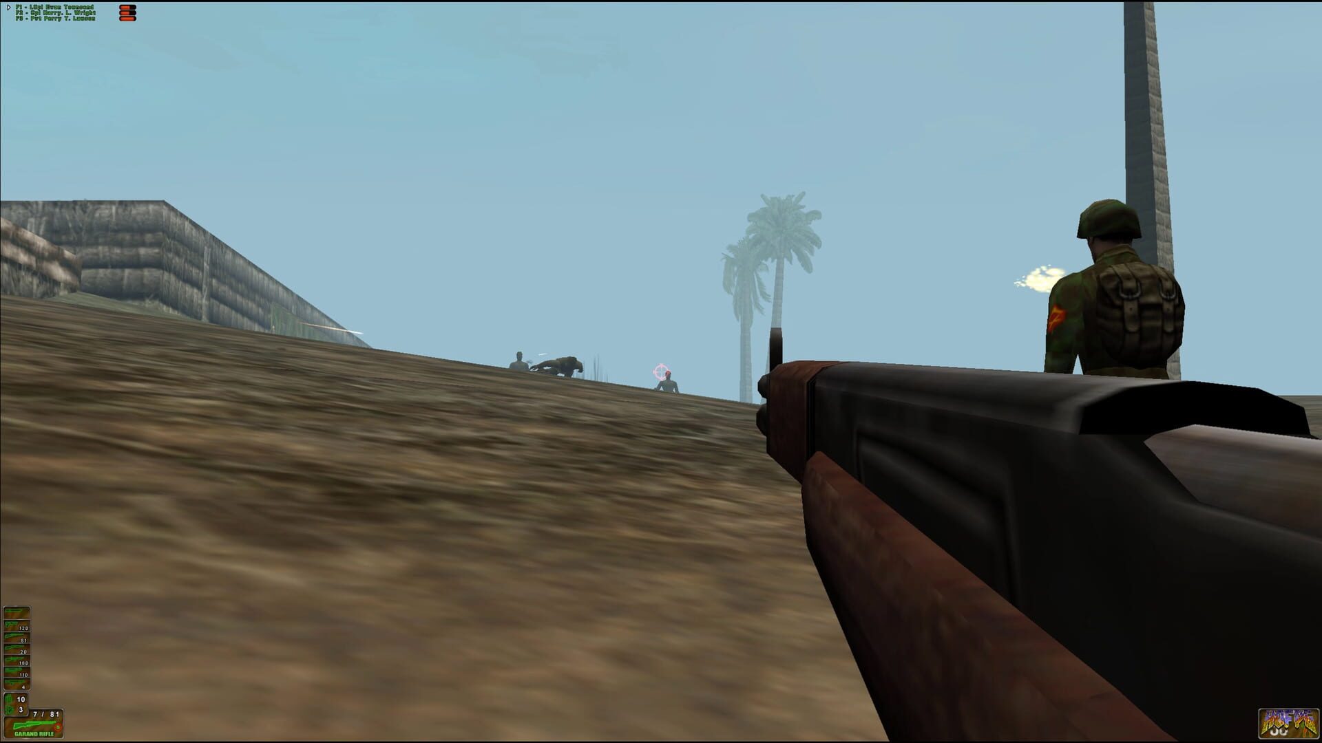 Screenshot for Elite Forces: WWII - Iwo Jima