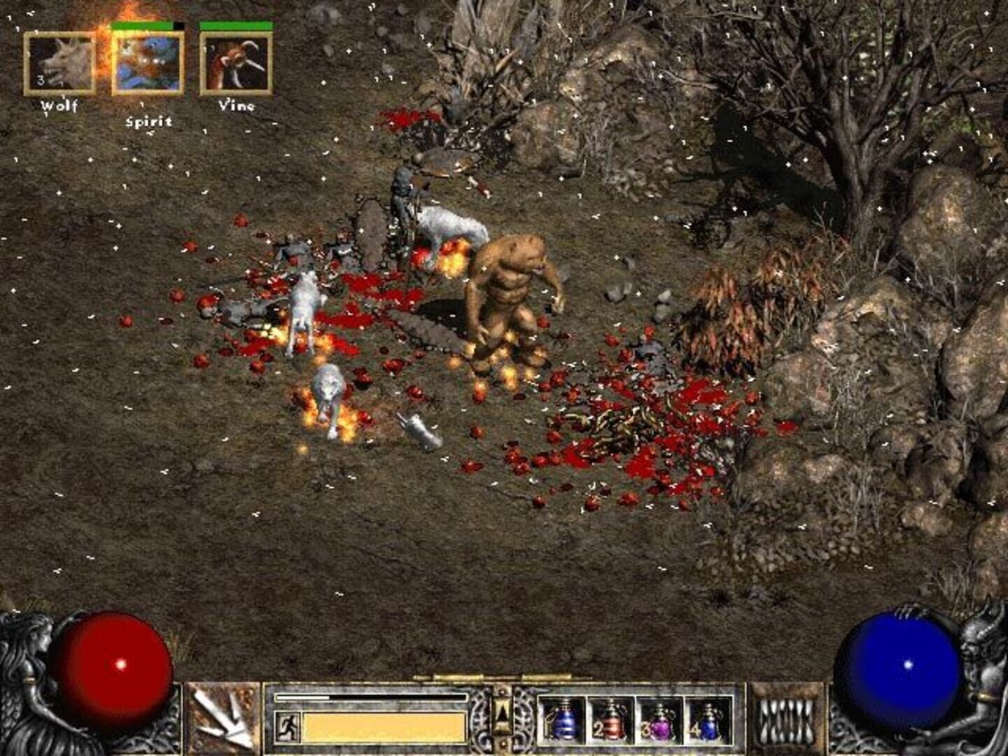 Screenshot for Diablo II