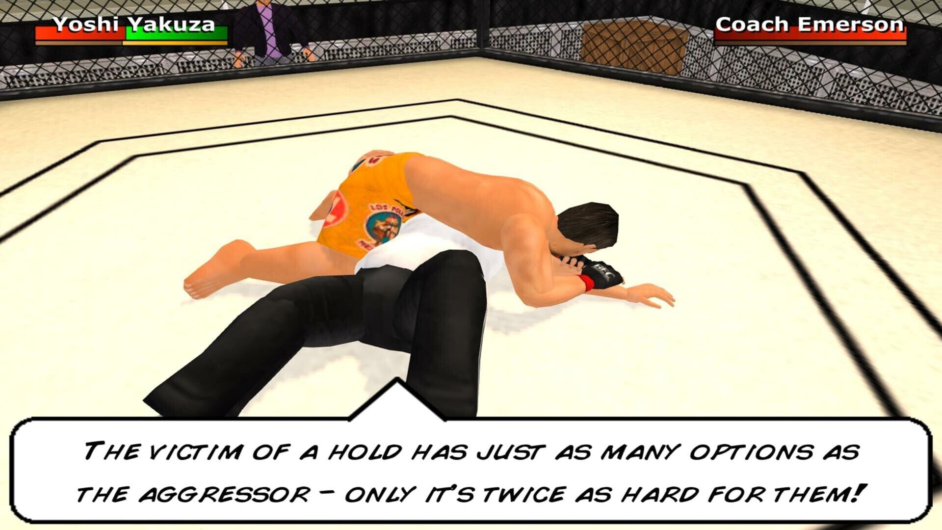 Screenshot for Weekend Warriors MMA